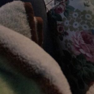 Meet your Posher, Daniela